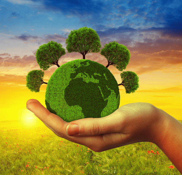 environment-محیط زیست